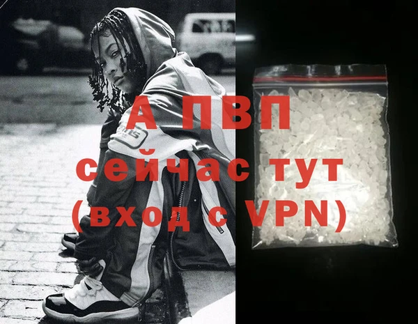 2c-b Надым