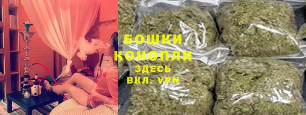apvp Бородино